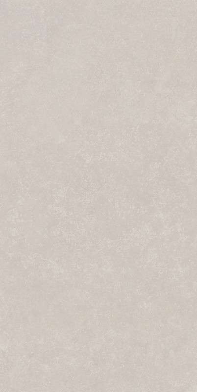 RP Серый Светлый Матовый Обрезной 60x119.5x0.9 (600x1195)