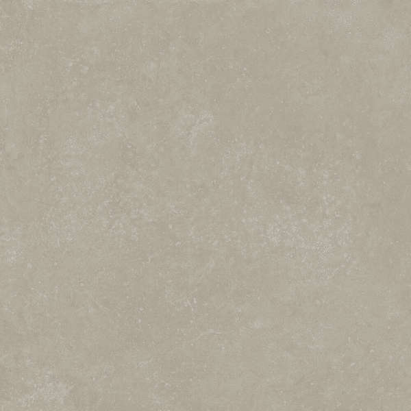 RP Серый Светлый Матовый Обрезной 60x60x0.9 (600x600)