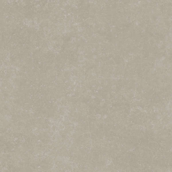 RP Серый Светлый Матовый Обрезной 60x60x0.9 (600x600)