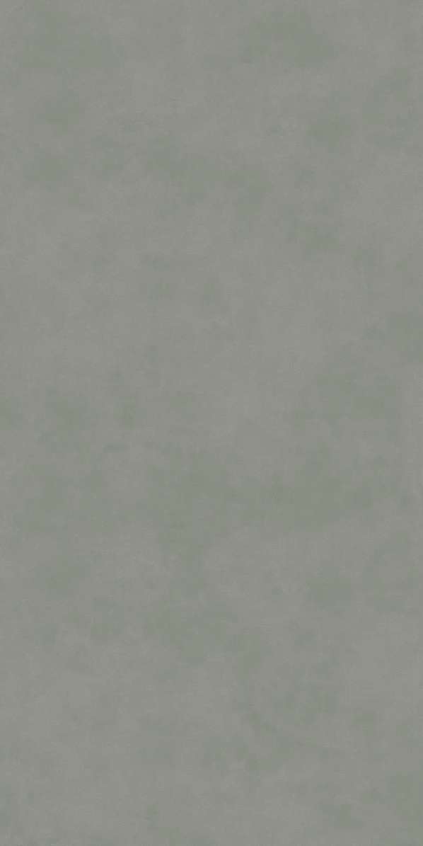 Зелёный Светлый Матовый Обрезной 60х119.5x0.9 (600x1195)