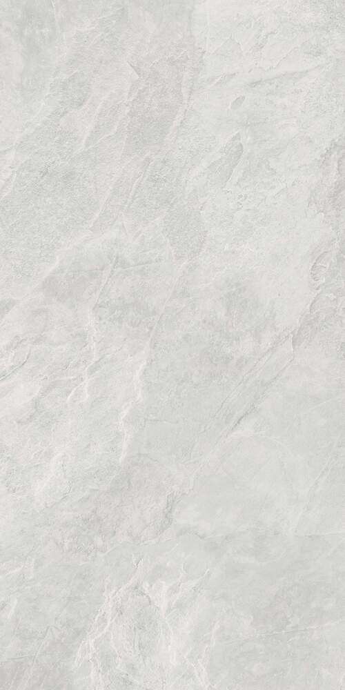 Light Grey SR 60x120 (600x1200)