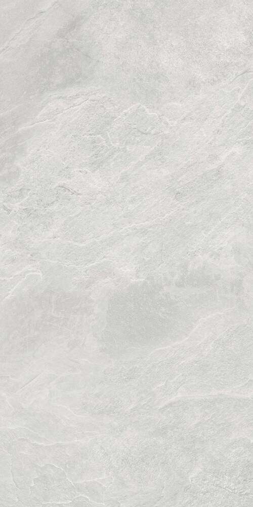 Light Grey SR 60x120 (600x1200)