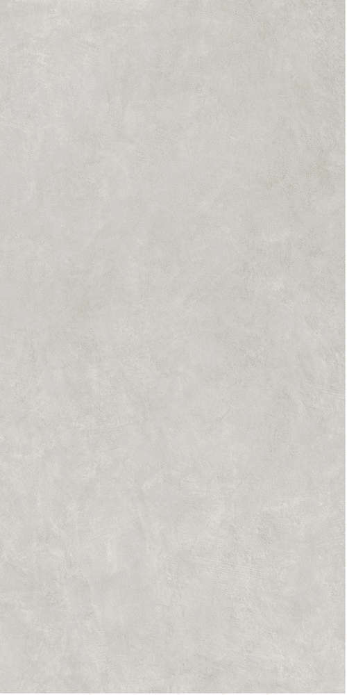 Светло-серый / Light Gray SR 60x120 (600x1200)
