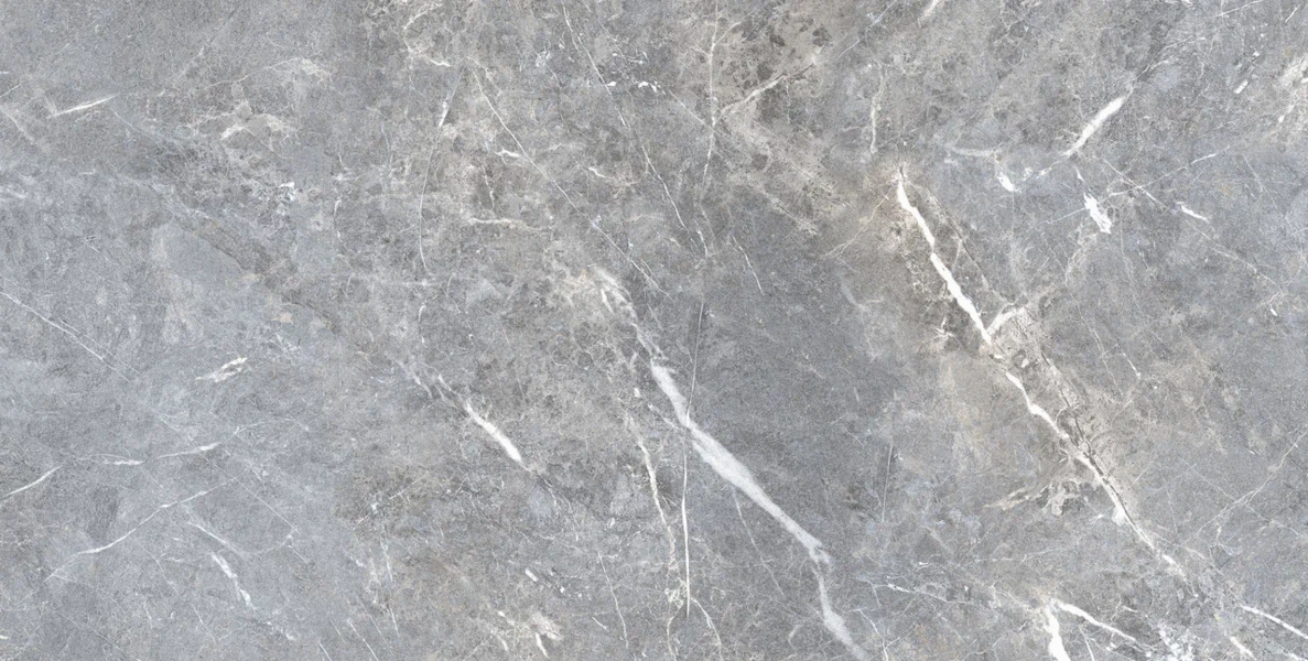 Neva Gray Mat 60x120 (1200x600)
