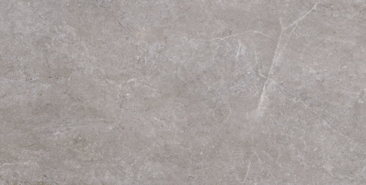 Bosfor Gray Mat 60x120 (1200x600)
