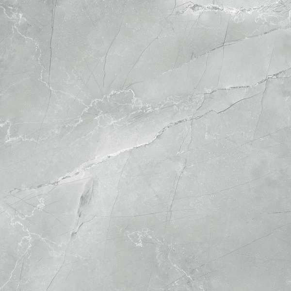 Gray 60 (600x600)