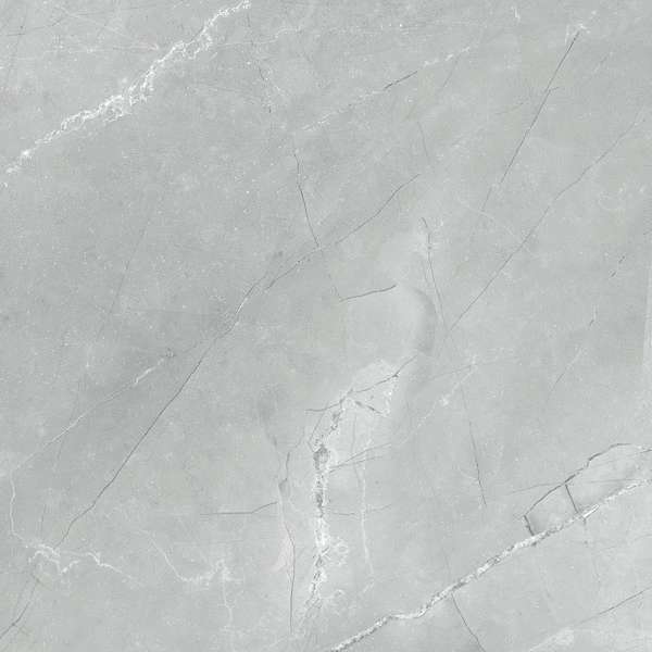 Gray 60 (600x600)