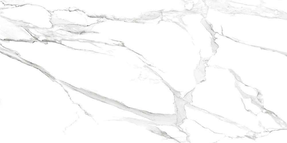 White (1200x600)