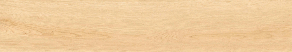 Arena matt punch 20х120 (1200x200)