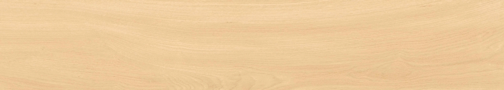 Arena matt punch 20х120 (1200x200)