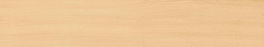 Arena matt punch 20х120 (1200x200)