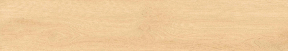 Arena matt punch 20х120 (1200x200)