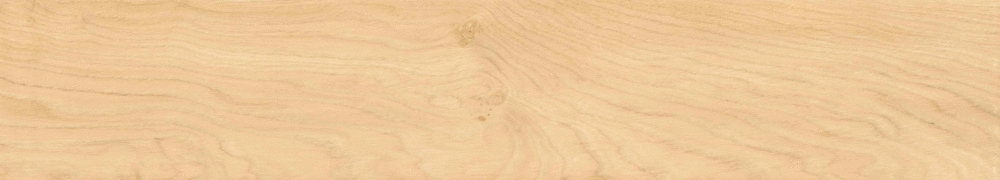Arena matt punch 20х120 (1200x200)