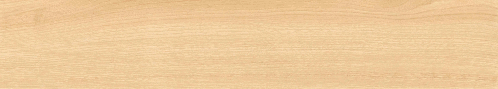 Arena matt punch 20х120 (1200x200)
