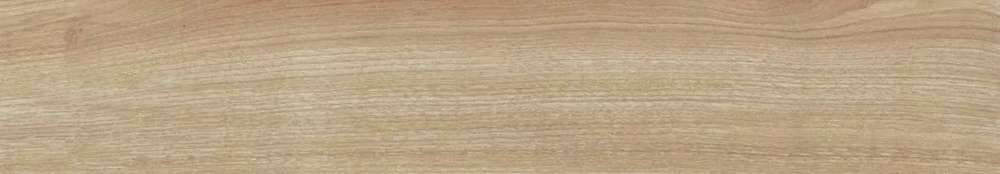 Natural matt punch 20х120 (1200x200)