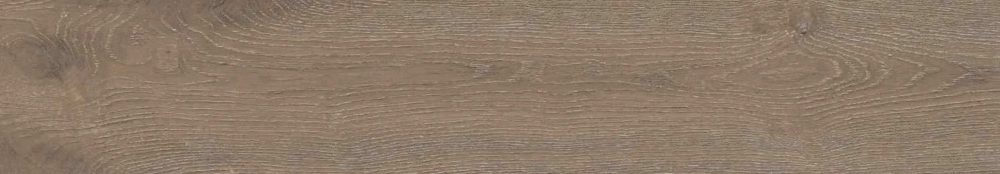 Castano matt punch 20х120 (1200x200)