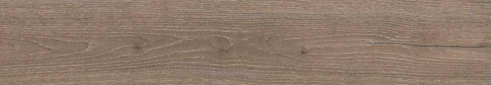 Castano matt punch 20х120 (1200x200)