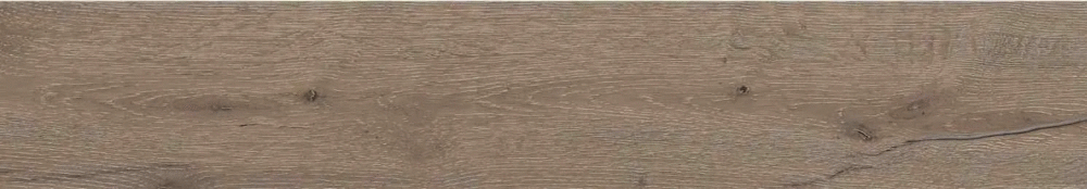 Castano matt punch 20х120 (1200x200)
