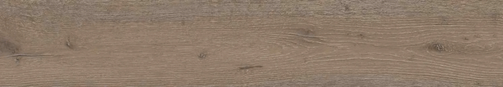 Castano matt punch 20х120 (1200x200)