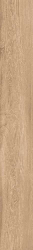 Beige Scuro (200x1500)