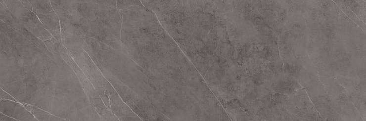 Ламинам I Naturali Marmi Pietra Grey Lucidato 300x100 5.6 мм