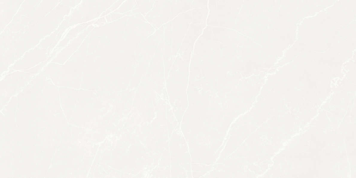 Белый 59.5х119.1 Матовый (1191x595)