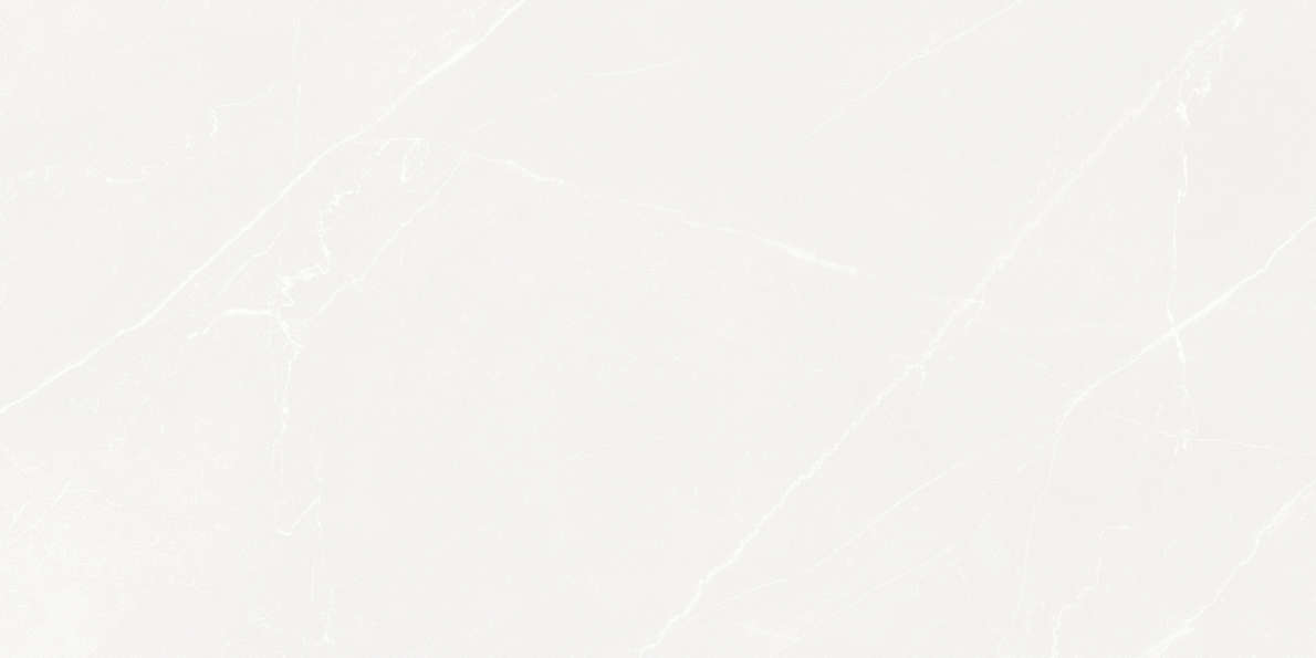 Белый 59.5х119.1 Матовый (1191x595)