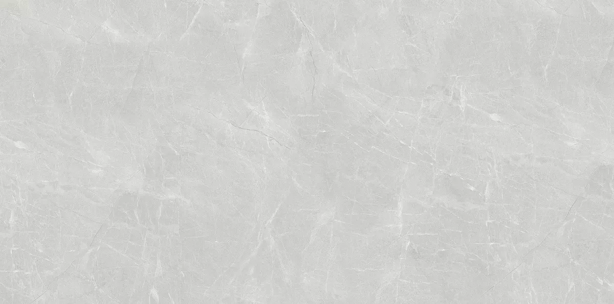 Светло-Серый 60x120 (1200x600)