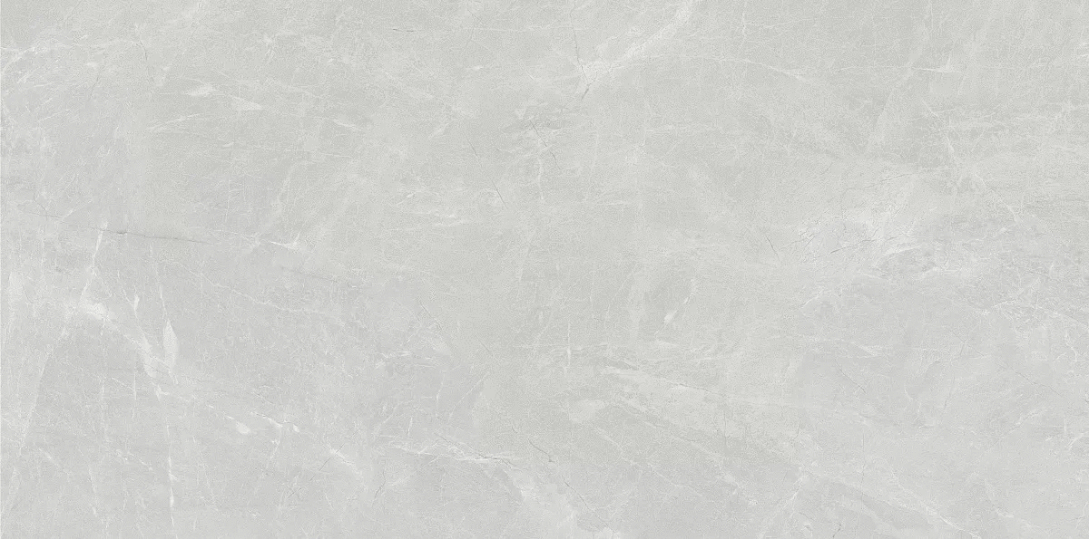 Светло-Серый 60x120 (1200x600)