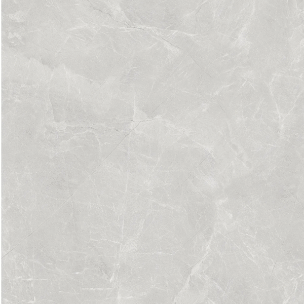 Светло-Серый 60x60 (600x600)