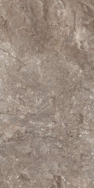 6405 Stone Grey Polished (600x1200)