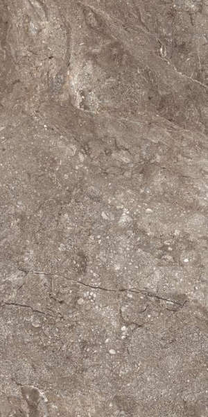 Stone Grey Polished 60x120 (46.08) (600x1200)