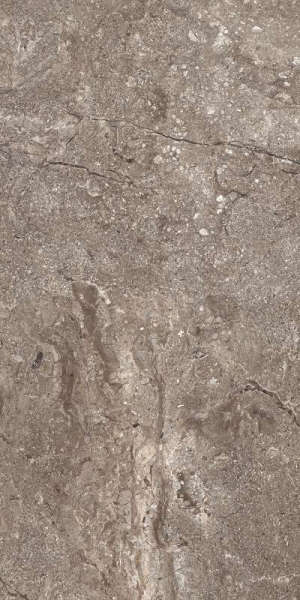 Stone Grey Polished 60x120 (46.08) (600x1200)