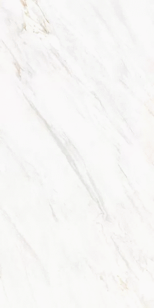 2601 Venato Soft Polished 60x120 (600x1200)