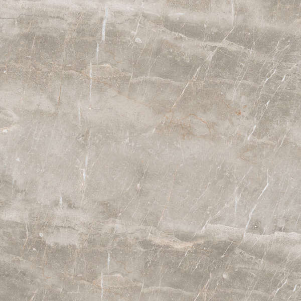 Gris 60x60 (600x600)