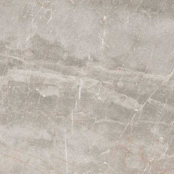 Gris 60x60 (600x600)