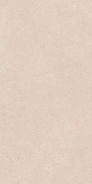 Grey Matt 60x120 (600x1200)