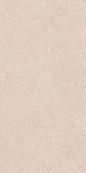 Grey Matt 60x120 (600x1200)