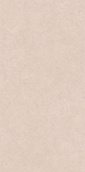 Grey Matt 60x120 (600x1200)