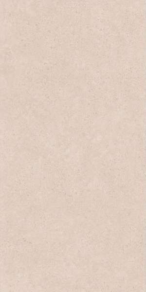 Grey Matt 60x120 (600x1200)