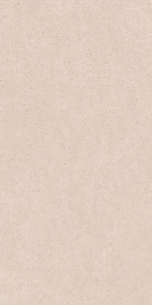 Grey Matt 60x120 (600x1200)
