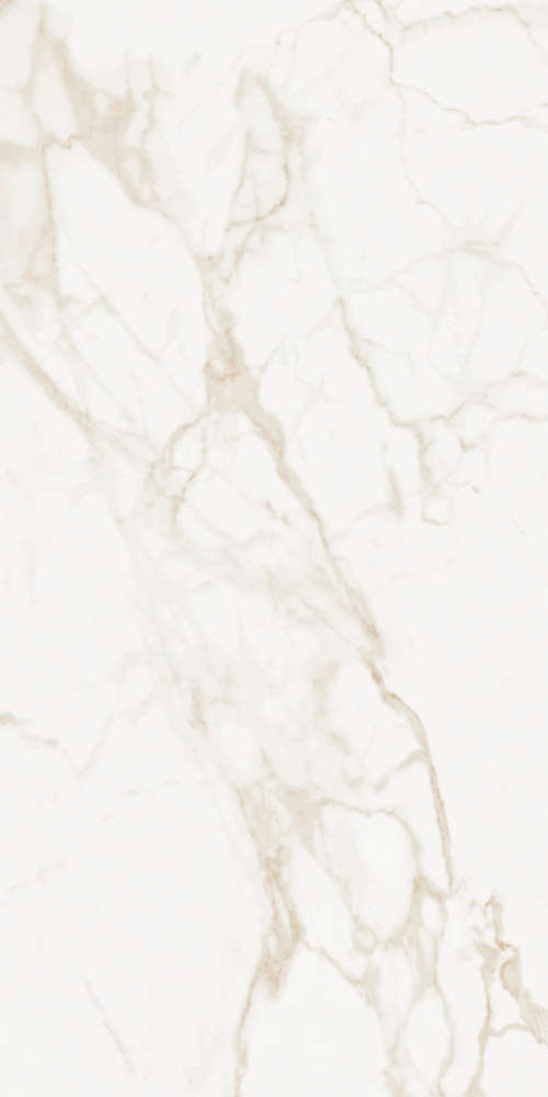 Calacatta Polished (600x1200)