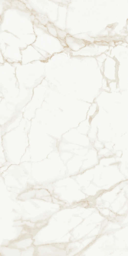 Calacatta Polished (600x1200)