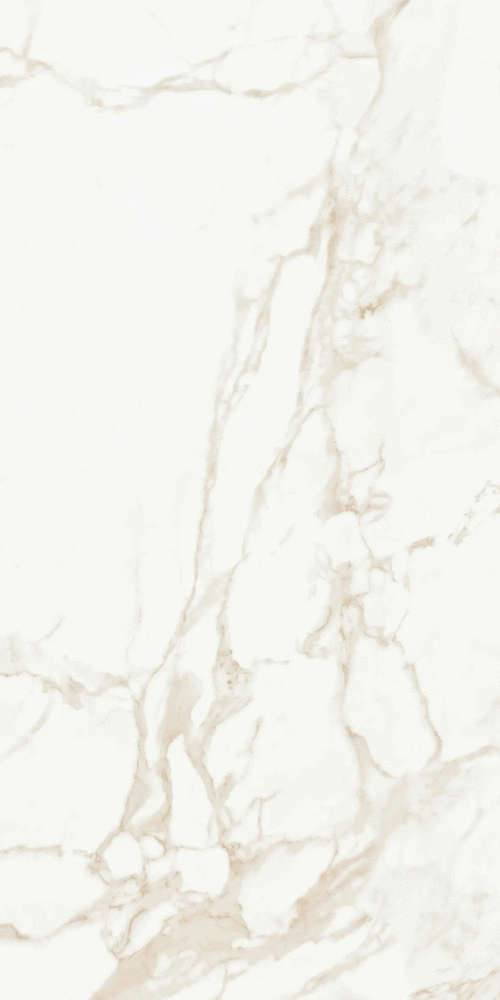 Calacatta Polished (600x1200)