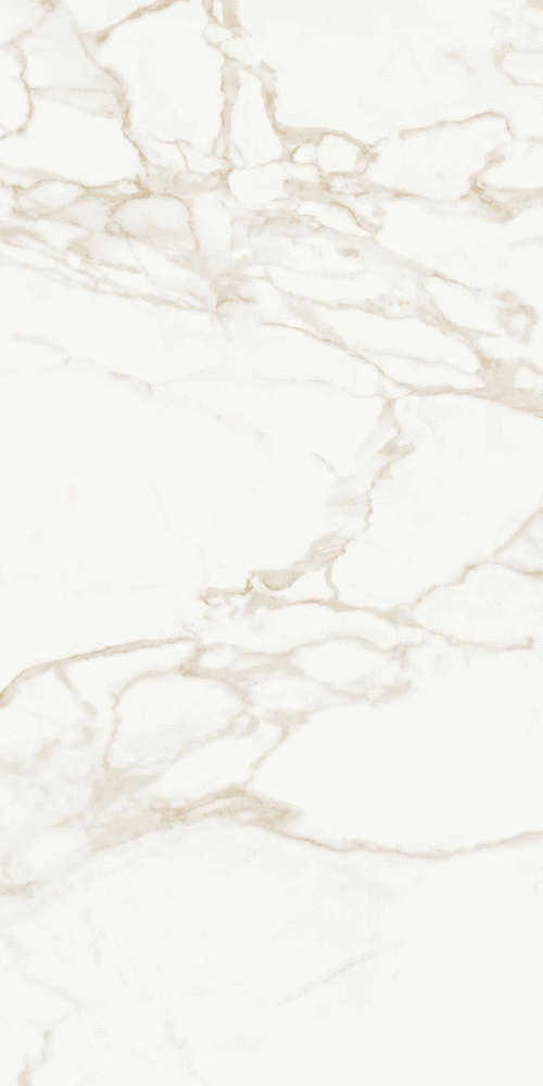 Calacatta Polished (600x1200)