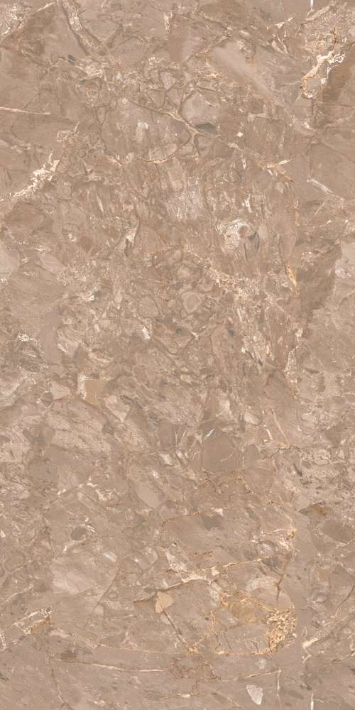 Oracle Brown Glossy (600x1200)