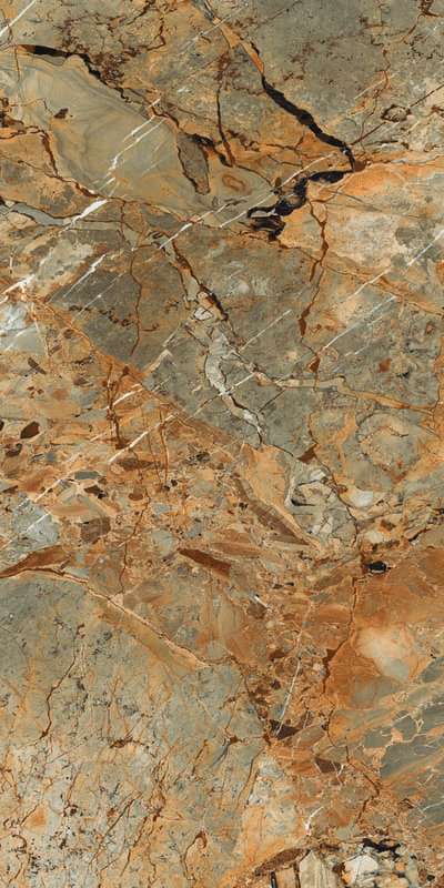 Breccia Fantastico Brown High Glossy (800x1600)