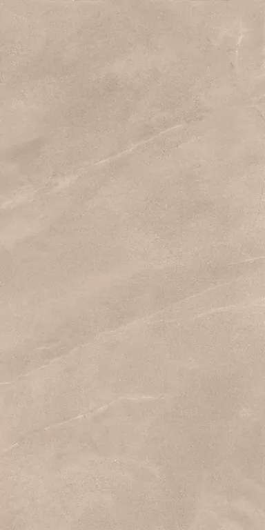 Bellisimo Taupe Lithos HG Glossy 80x160 (800x1600)