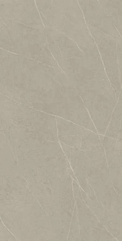 Evoke Taupe HG Glossy 80x160 (800x1600)