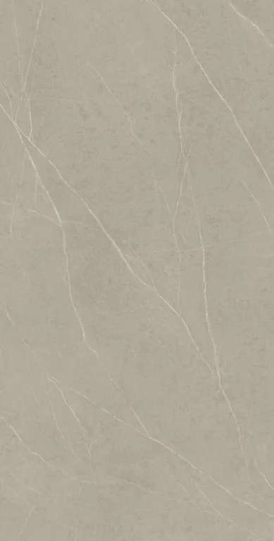 Evoke Taupe HG Glossy 80x160 (800x1600)